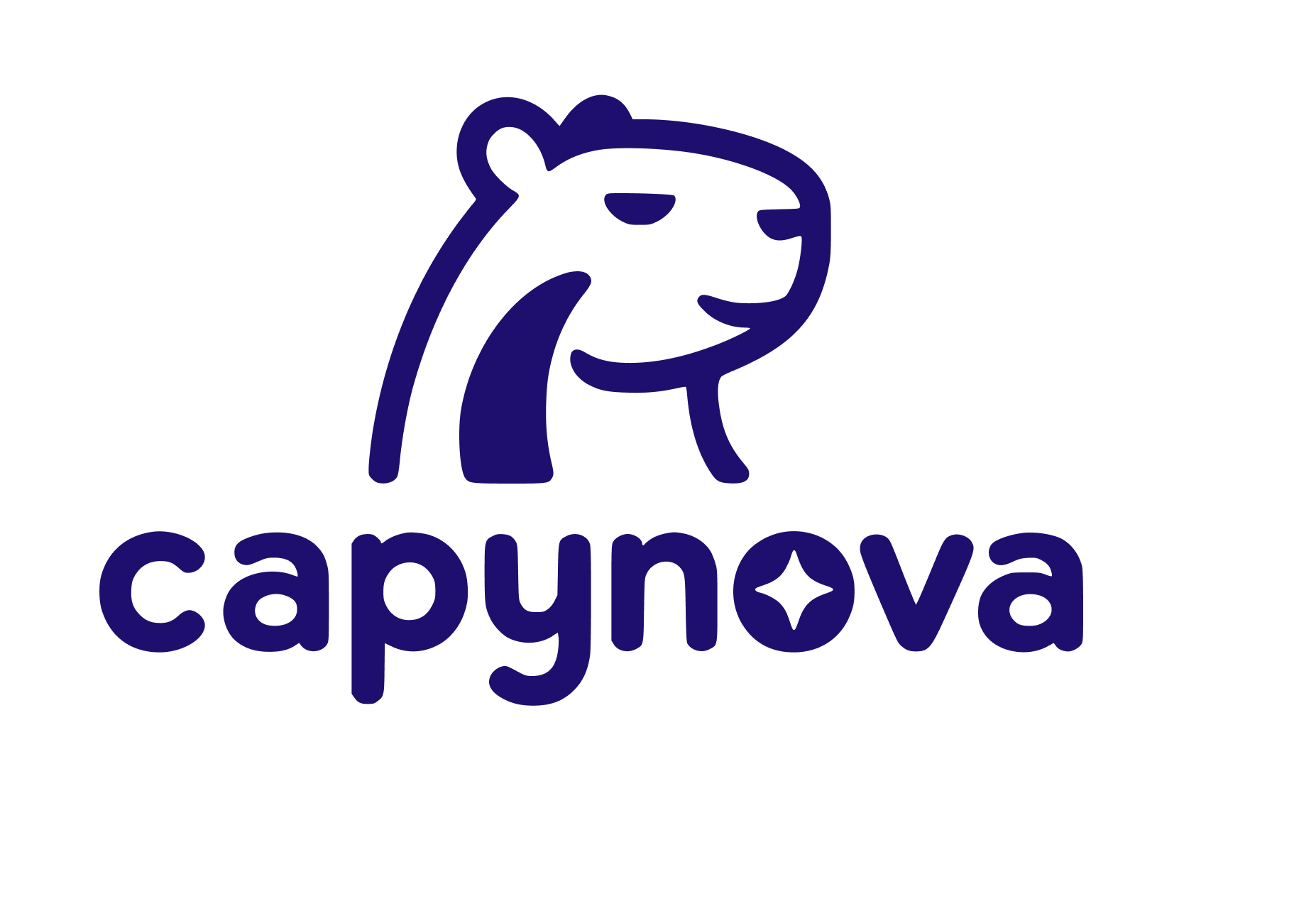 Capynova